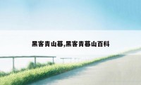 黑客青山幕,黑客青幕山百科