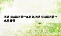 黑客攻防漏洞是什么意思,黑客攻防漏洞是什么意思呀