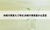 白帽子黑客入门考试,白帽子黑客是什么意思