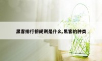 黑客排行榜规则是什么,黑客的种类