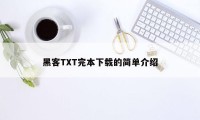 黑客TXT完本下载的简单介绍