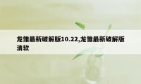 龙雏最新破解版10.22,龙雏最新破解版清软