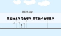 黑客技术学习去哪学,黑客技术去哪里学