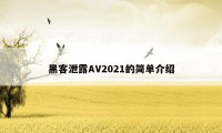 黑客泄露AV2021的简单介绍