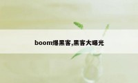 boom爆黑客,黑客大曝光