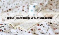 黑客入门新手教程代码书,初级黑客教程