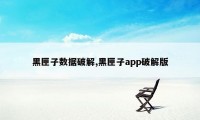 黑匣子数据破解,黑匣子app破解版