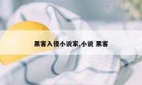 黑客入侵小说家,小说 黑客