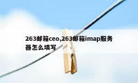 263邮箱ceo,263邮箱imap服务器怎么填写