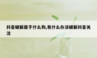 抖音破解属于什么狗,有什么办法破解抖音关注