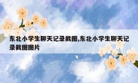 东北小学生聊天记录截图,东北小学生聊天记录截图图片