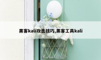 黑客kali攻击技巧,黑客工具kali