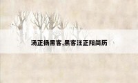 汤正扬黑客,黑客汪正阳简历