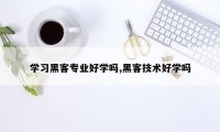 学习黑客专业好学吗,黑客技术好学吗