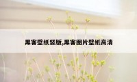 黑客壁纸竖版,黑客图片壁纸高清