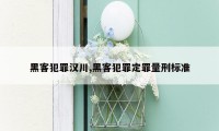 黑客犯罪汉川,黑客犯罪定罪量刑标准