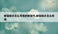 邮箱格式怎么写我的邮箱号,邮箱格式怎么样填