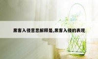 黑客入侵意思解释是,黑客入侵的表现