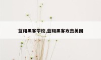 蓝翔黑客学校,蓝翔黑客攻击美国