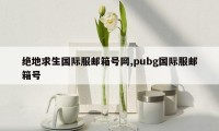 绝地求生国际服邮箱号网,pubg国际服邮箱号