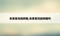 有黑客找回网赌,有黑客找回网赌吗