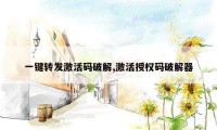 一键转发激活码破解,激活授权码破解器
