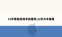 12岁黑客游戏手机推荐,12岁少年黑客