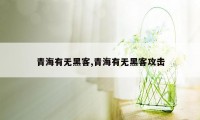 青海有无黑客,青海有无黑客攻击