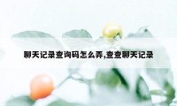 聊天记录查询码怎么弄,查查聊天记录