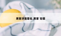 黑客涉案罪名,黑客 犯罪