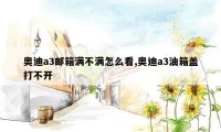 奥迪a3邮箱满不满怎么看,奥迪a3油箱盖打不开