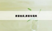 黑客拍卖,黑客交易网