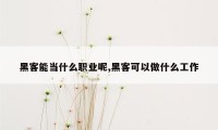 黑客能当什么职业呢,黑客可以做什么工作