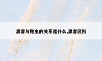 黑客与爬虫的关系是什么,黑客区别