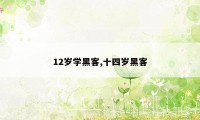 12岁学黑客,十四岁黑客