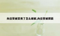 向日葵被禁用了怎么破解,向日葵被屏蔽