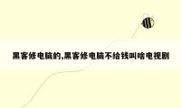黑客修电脑的,黑客修电脑不给钱叫啥电视剧