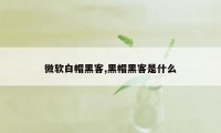 微软白帽黑客,黑帽黑客是什么