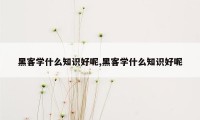 黑客学什么知识好呢,黑客学什么知识好呢