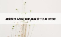 黑客学什么知识好呢,黑客学什么知识好呢