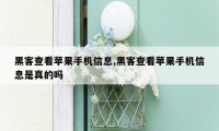 黑客查看苹果手机信息,黑客查看苹果手机信息是真的吗