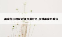 黑客组织的反对理由是什么,你对黑客的看法