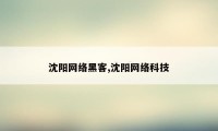 沈阳网络黑客,沈阳网络科技