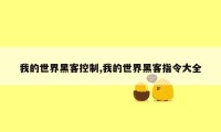 我的世界黑客控制,我的世界黑客指令大全