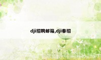 dji招聘邮箱,dji春招