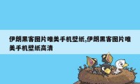 伊朗黑客图片唯美手机壁纸,伊朗黑客图片唯美手机壁纸高清