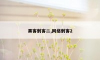 黑客刺客二,网络刺客2