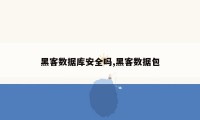 黑客数据库安全吗,黑客数据包