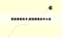 假装黑客高手,假装黑客高手小说