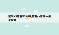菜鸟VS黑客VS大神,黑客vs菜鸟vs高手视频